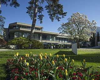 View of a garden with yellow tulips and a modern building.