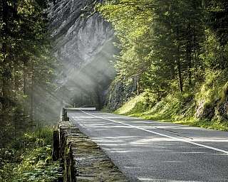Une route entourée d'arbres et de rochers, avec des rayons de soleil.