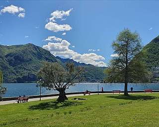 Panoramablick auf den Lago di Lugano mit Bergen und Bäumen.