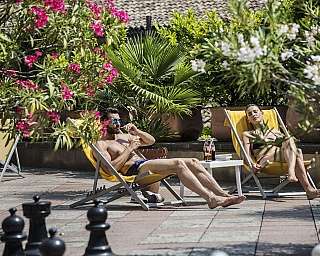 Un couple se détendant sur des chaises longues entourées de verdure et de fleurs.