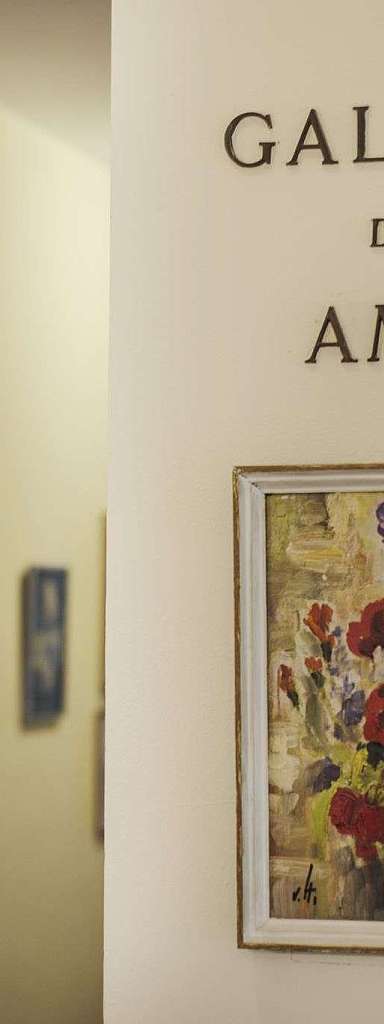 Galleria degli Amici