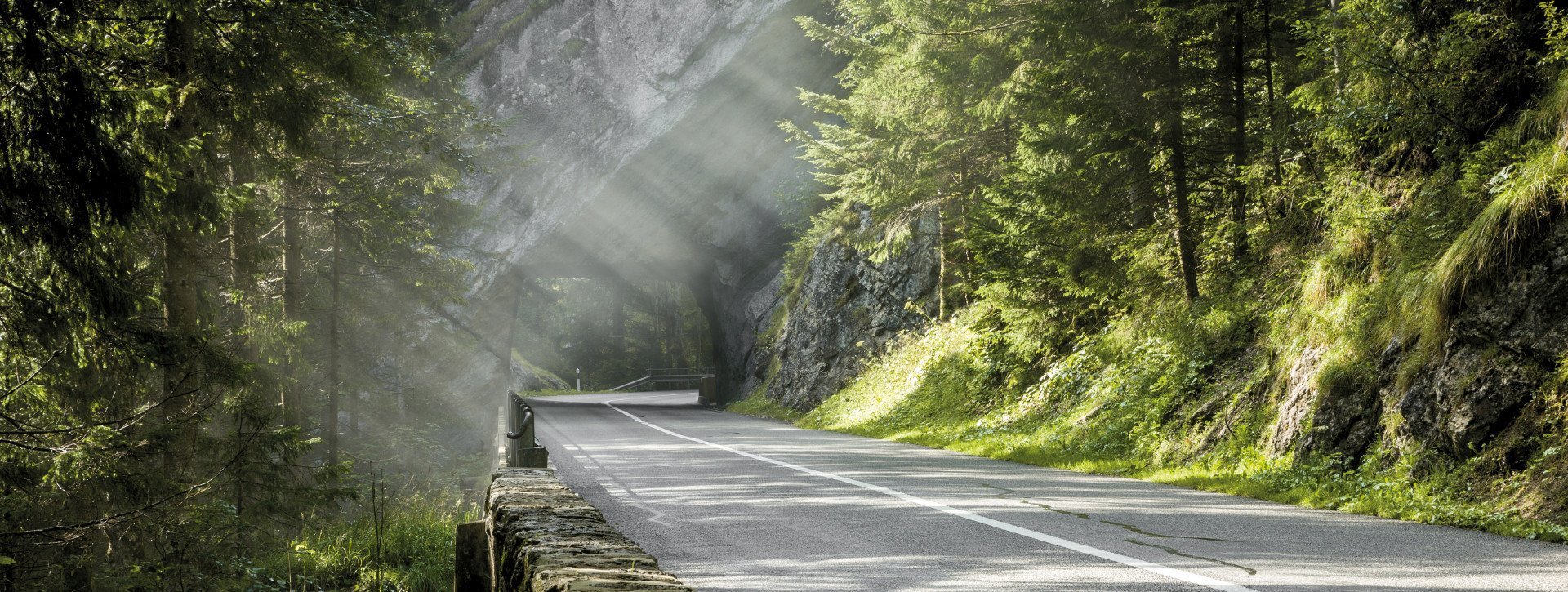 Curvy road in impressive soft morning light